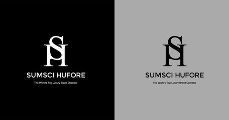 上水匯峰品牌形象策劃 VI設計、標志設計與畫冊策劃設計